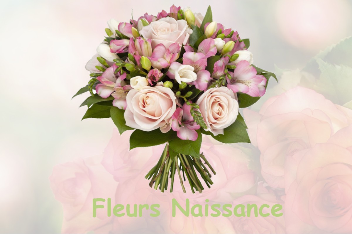 fleurs naissance HECTOMARE